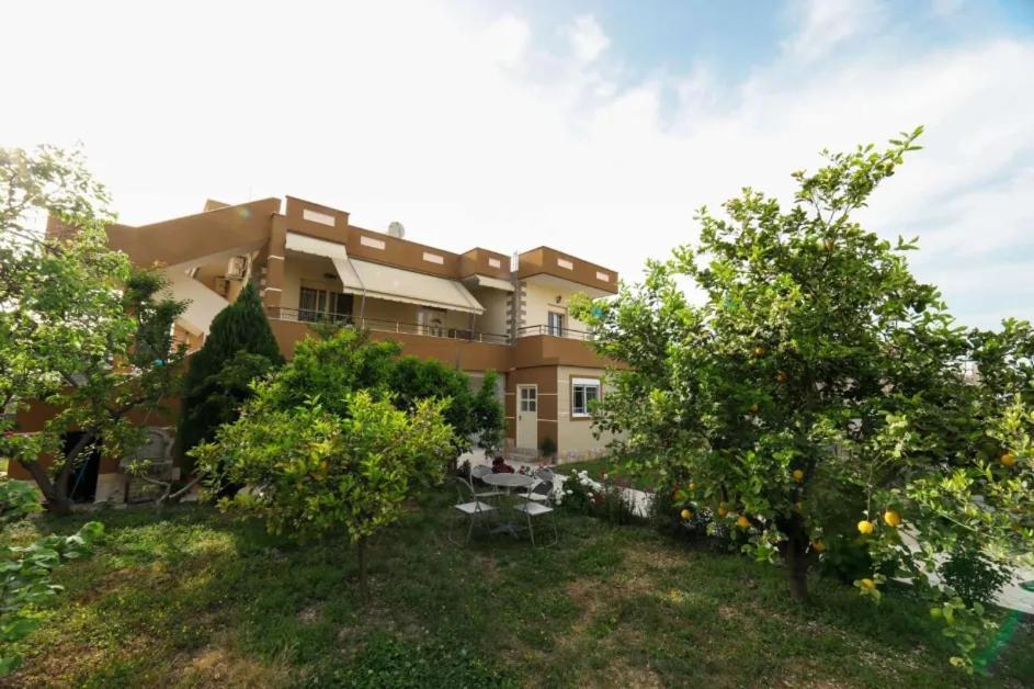 Vila Agolli Vlore Bagian luar foto