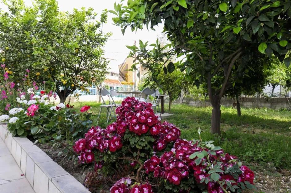 Vila Agolli Vlore Bagian luar foto